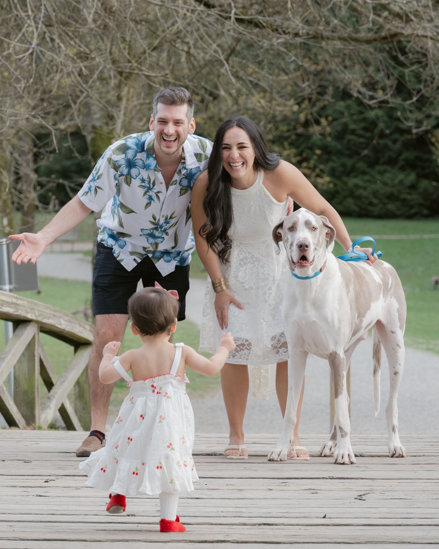 Candid family photography at Jericho Beach Vancouver, showing a toddler running to her parents and Great Dane.