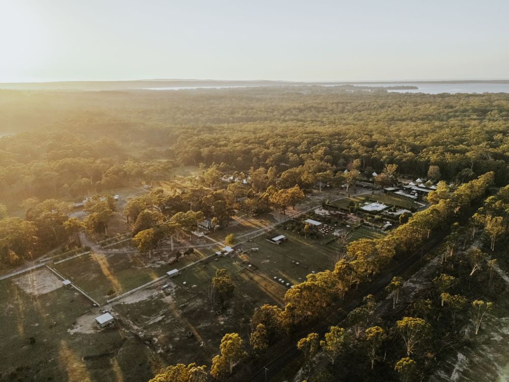 Aerial drone view of a rural campsite surrounded by golden eucalyptus forest at sunset in Australia.