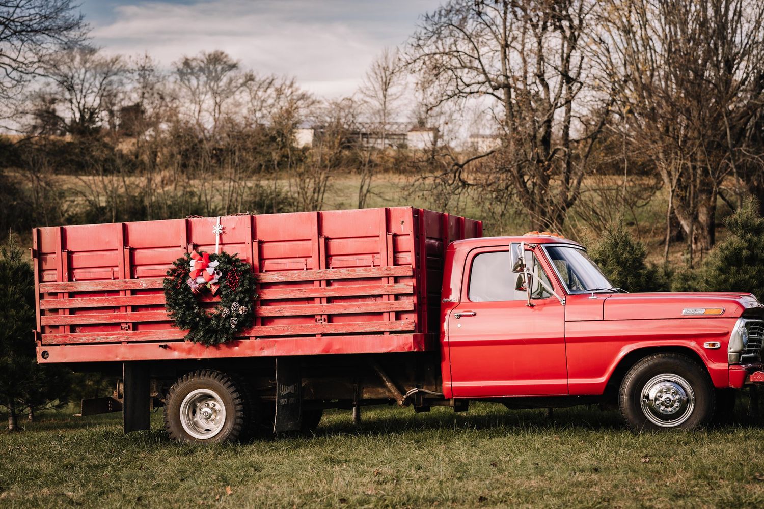 Tree farm company offering photoshoot space as well as fresh Christmas trees in Robertson county Tennessee, Springfield, Coopertown, Pleasan