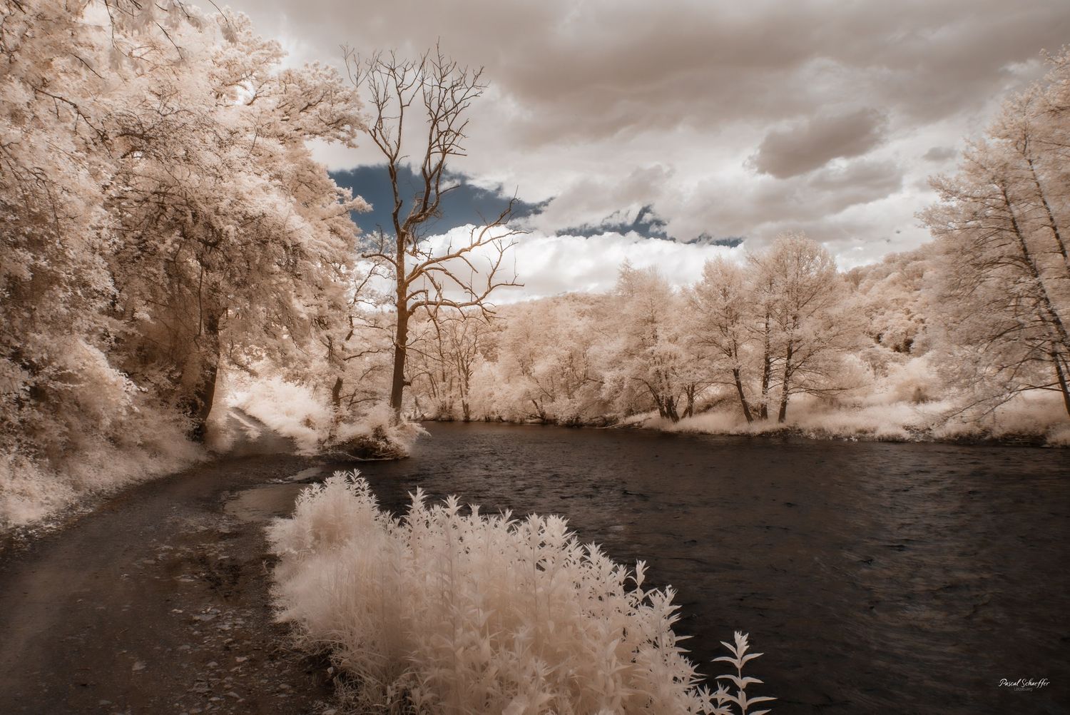 Infrared rural scene featuring a pink fence line, golden meadow, and vivid deep blue sky.