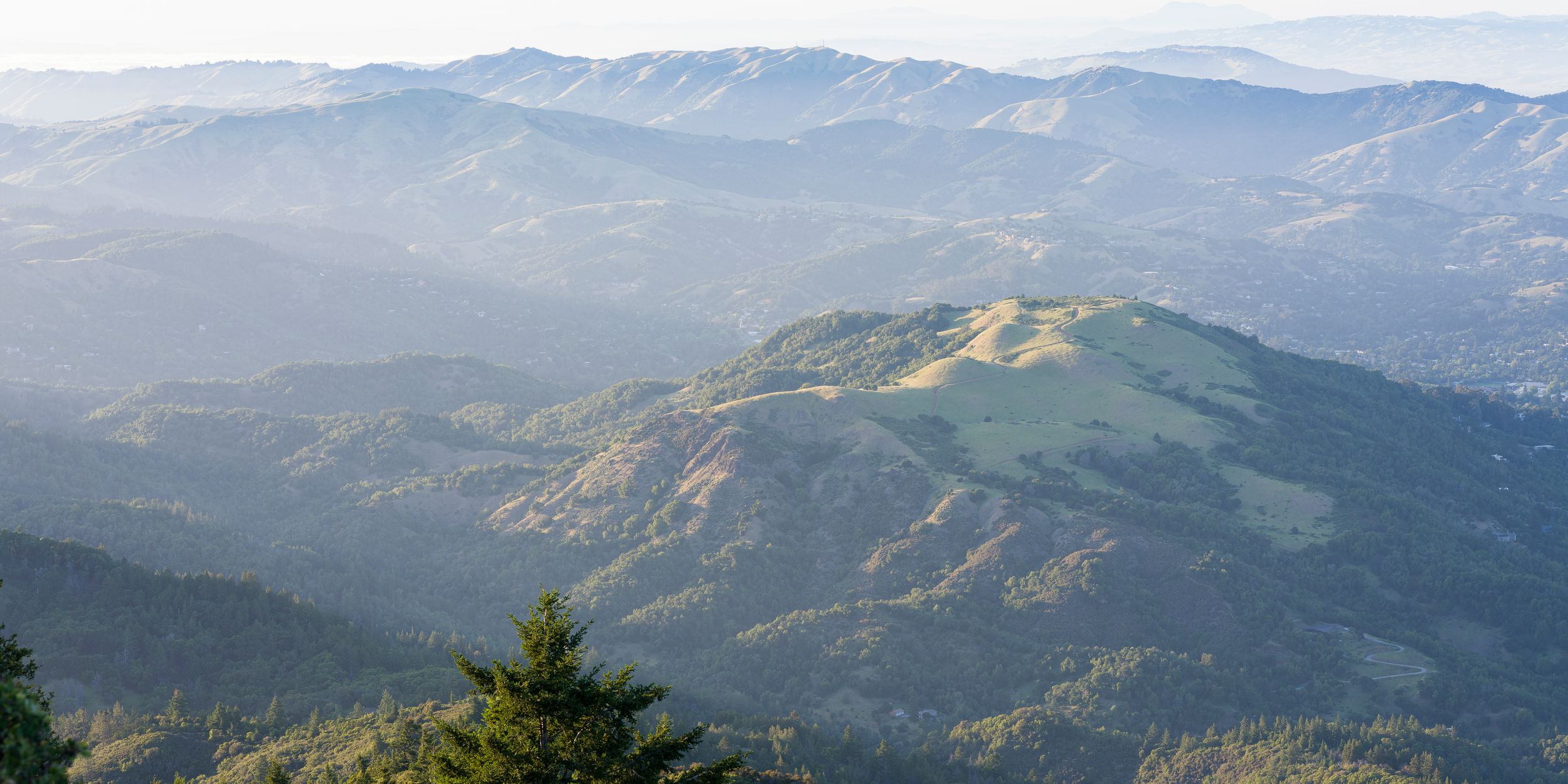 Expansive aerial view of layered green mountain ridges and valleys taken from Mount Tamalpais in the Northern California wilderness.