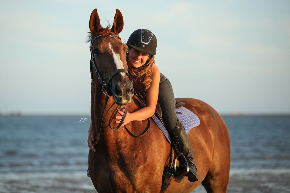horse photography