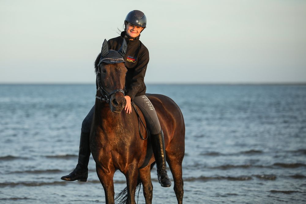 horse photography