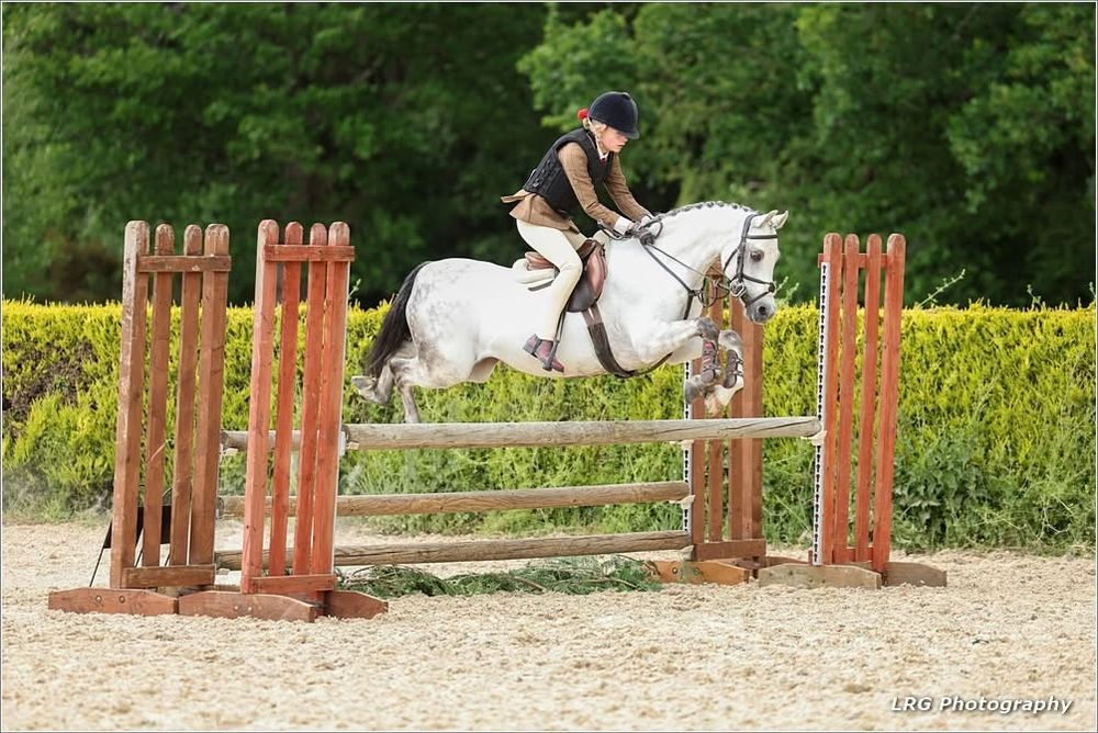 horse photography