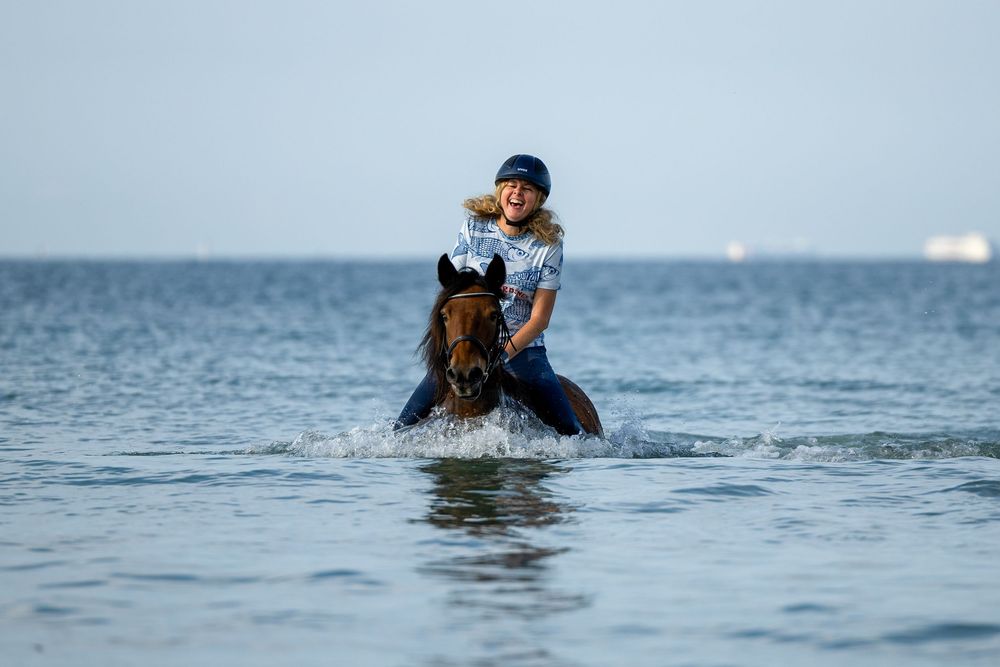 horse photography