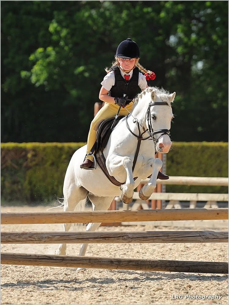 horse photography