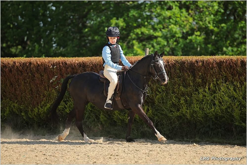 horse photography