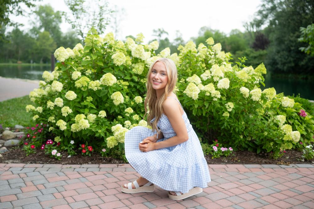 Garden portrait with blooming hydrangeas and brick pathway.