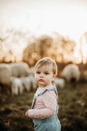 #lammetjes #schapen #mini's #lente #lommel #fotograaf #fotografie #pelt #belgie