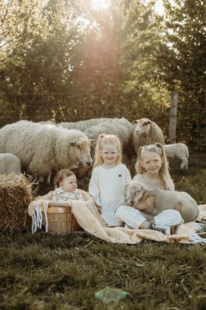 #lammetjes #schapen #mini's #lente #lommel #fotograaf #fotografie #pelt #belgie