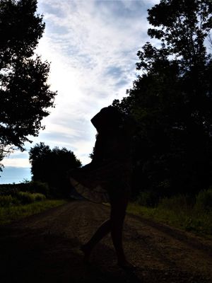 Dramatic silhouettes of trees against a cloudy sky on a rural path.