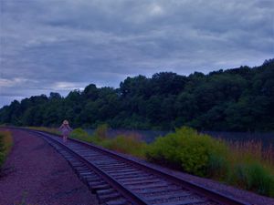 Curved railroad tracks cutting through green vegetation under an overcast sky.