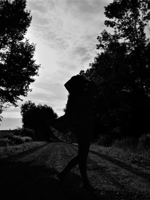 Silhouetted trees and landscape create a dramatic dark scene along a rural path.