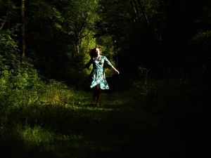 Sunlight filters through trees creating dramatic shadows in a forest setting.