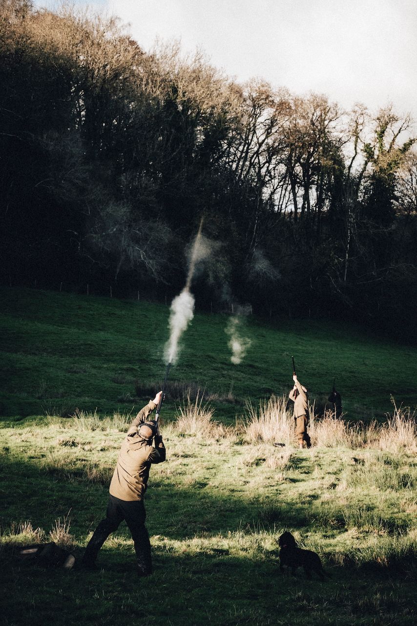 Pheasant shooting reportage photo of gun shooting high birds over exmoor