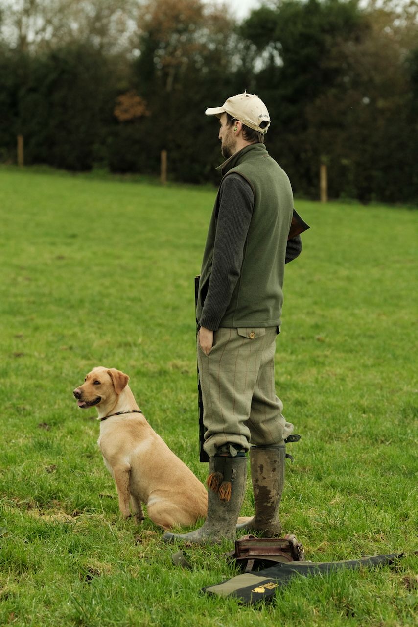 Pheasant shooting reportage photo of Gun waiting for the drive to start with Labrador dog who will pick up shot birds