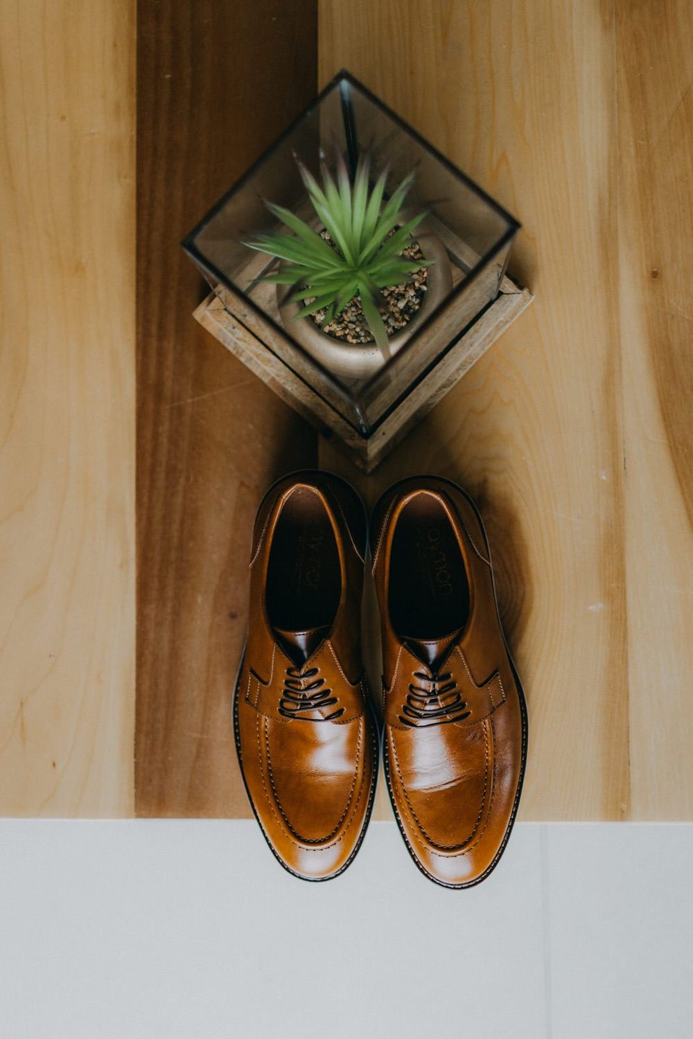Tan leather dress shoes arranged with a small succulent plant in geometric glass planter on wooden surface.