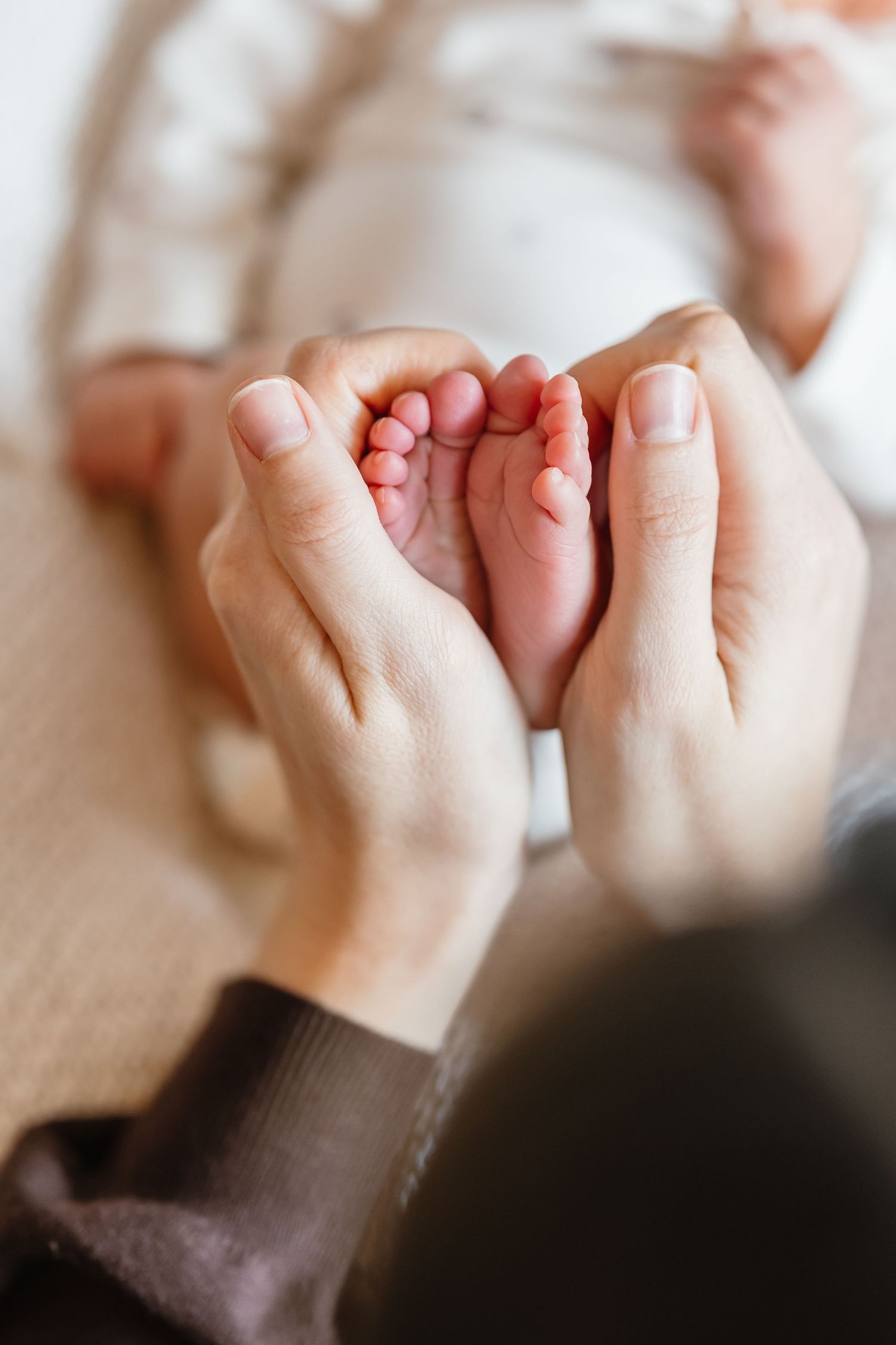 newborn baby feet being held by adult hands in soft natural lighting during a newborn lifestyle photoshoot in Kelowna, BC