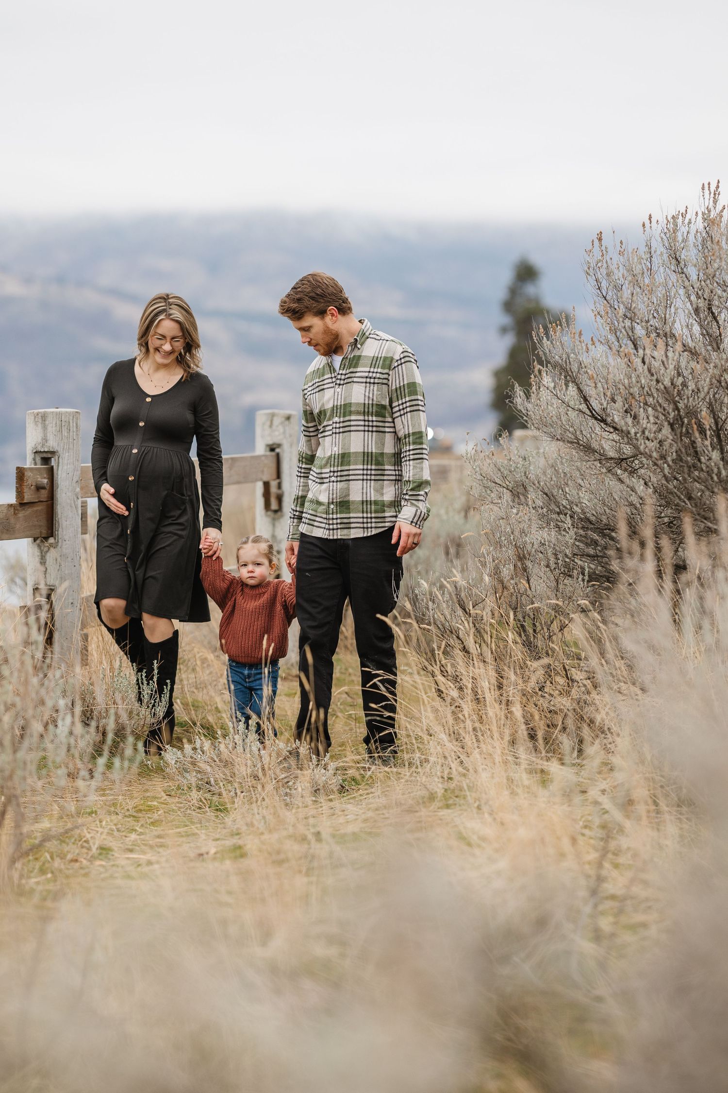Family walking together through tall dry grass along a mountain trail at Knox mountain park in kelowna bc