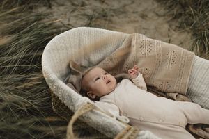 Cozy knit bassinet holds sleeping infant outdoors with natural beach grass backdrop.