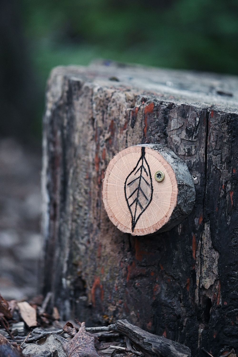 Wooden disc with engraved leaf design mounted on dark tree stump.