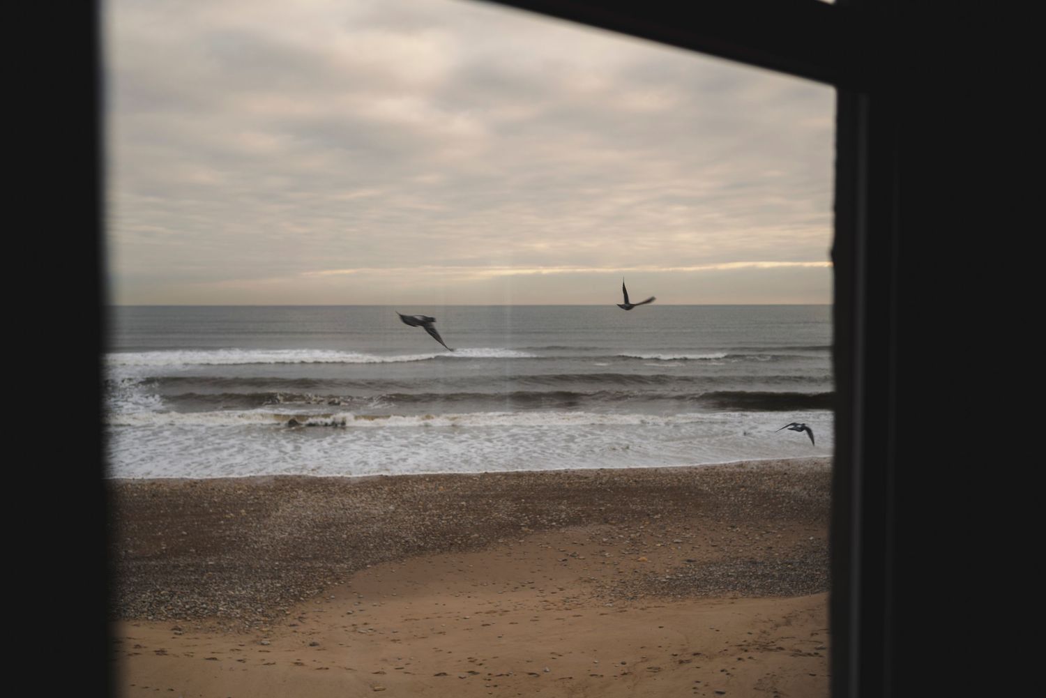 Birds soar over a misty ocean beach viewed through a window frame at dusk.