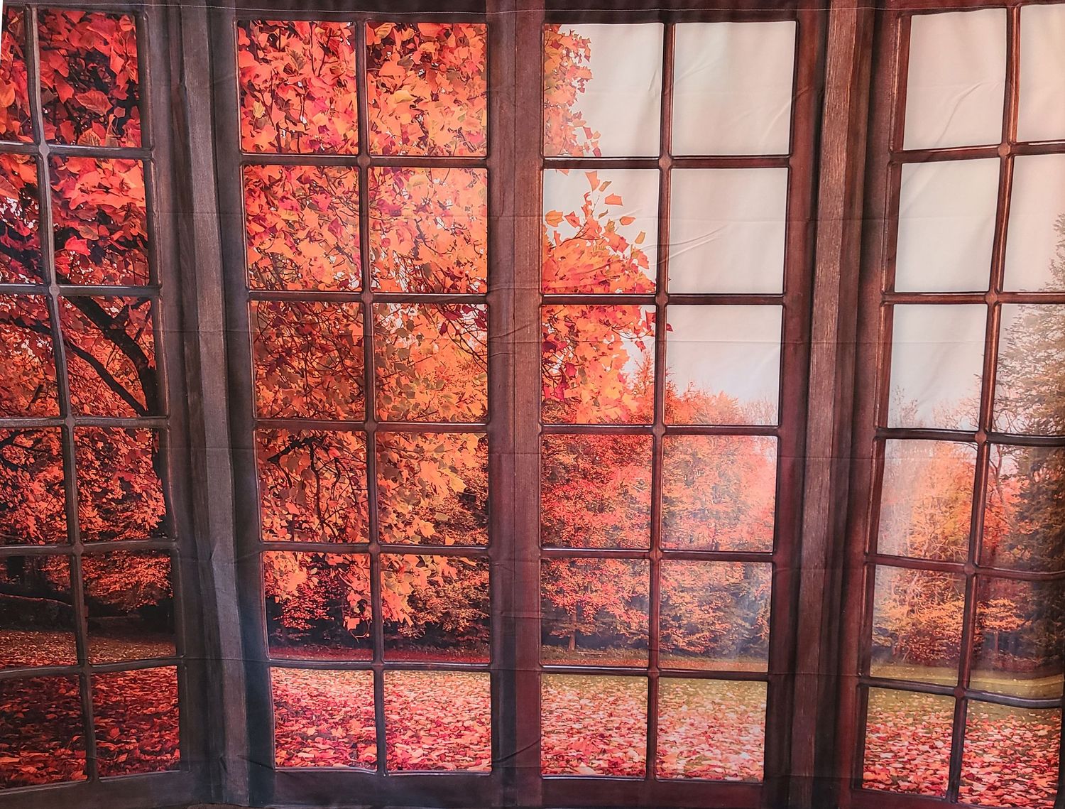 Japanese style window frames with vibrant red autumn foliage view.