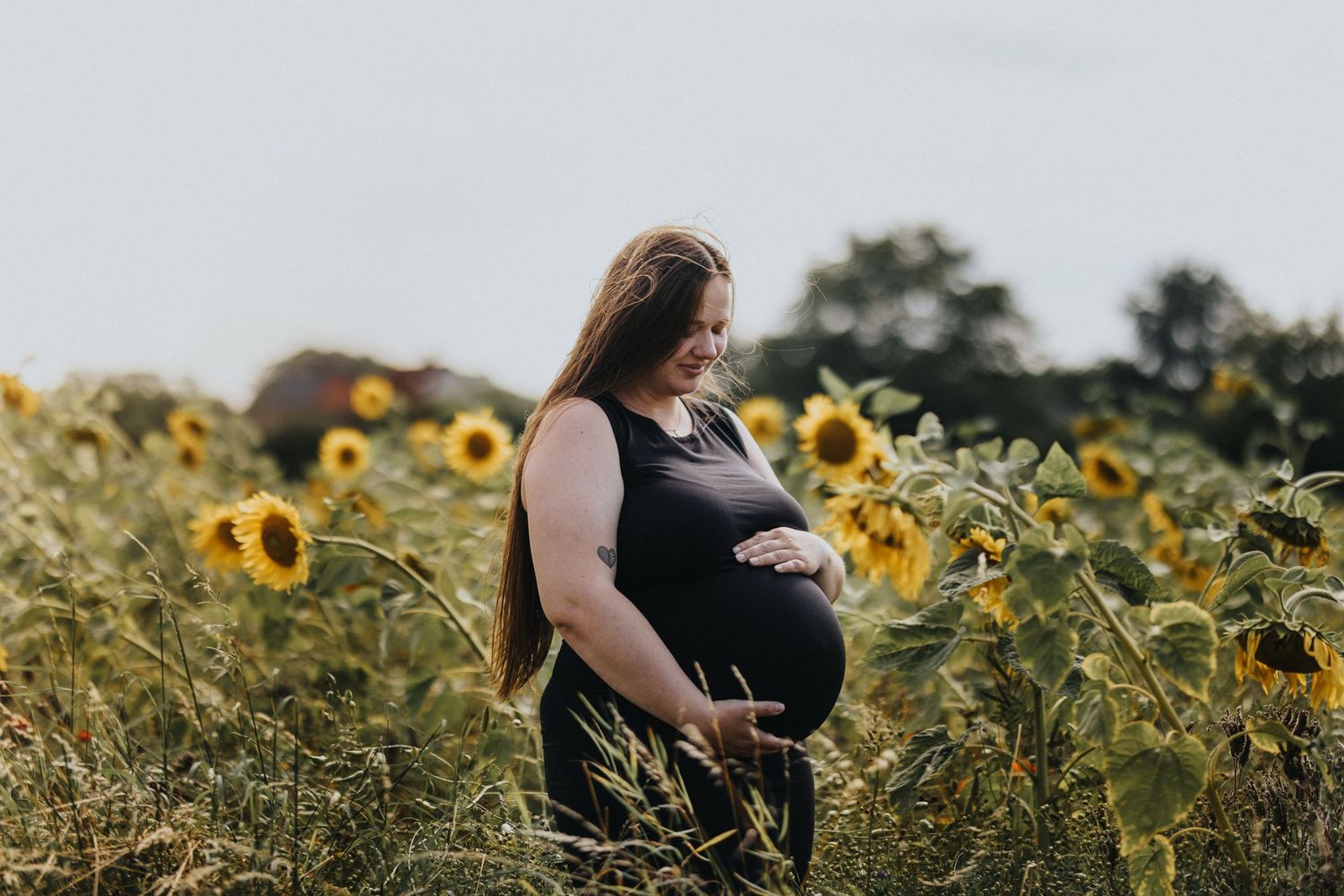 Silhouette of pregnant woman standing in field of blooming sunflowers during sunset.