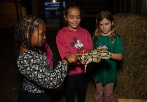 Children gathered in indoor setting looking at something together.