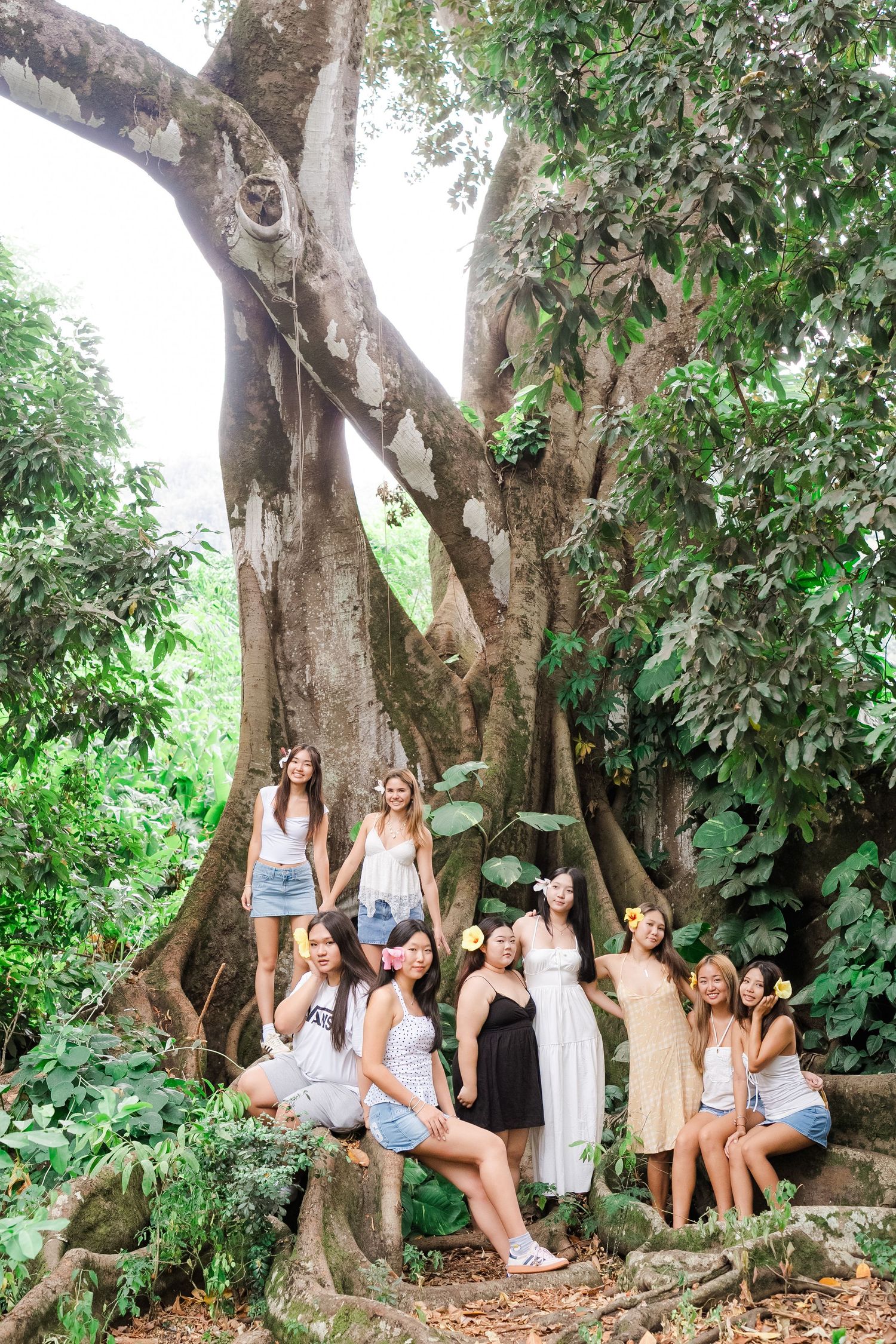 A collage of outdoor group photos showing people sitting on wooden steps in a lush garden setting.
Oahu family photography, Hawaii family