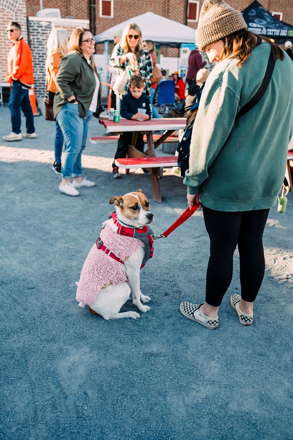 A dog wearing a pink sweater on a leash stands next to their owner at an outdoor event.
