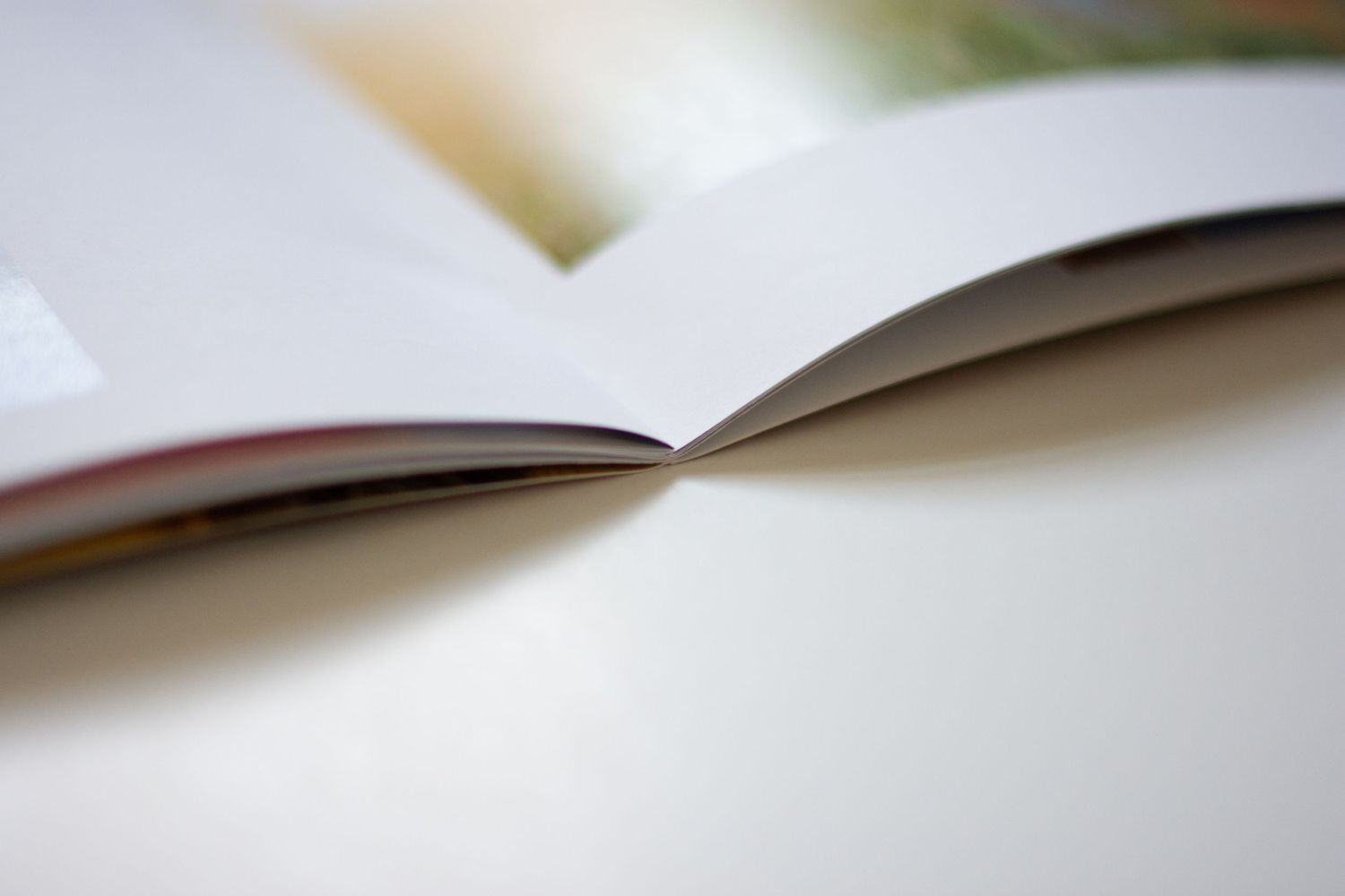 Multiple pages of a photo album showing landscape and portrait photography layouts.