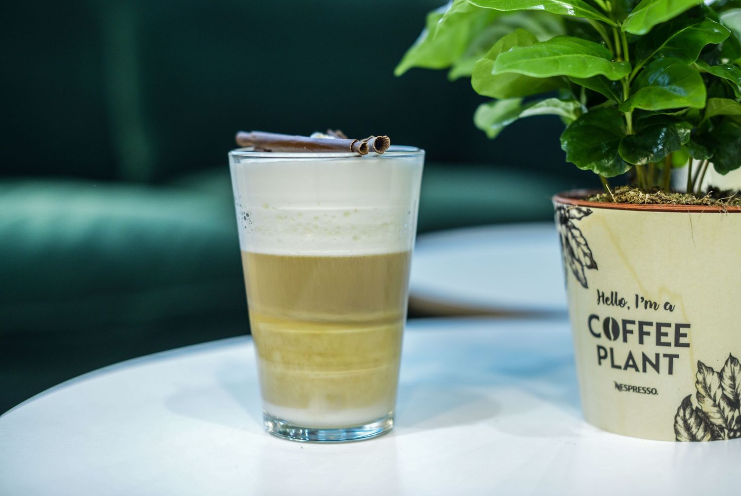 Row of potted plants and beverages on white surface with minimalist styling.