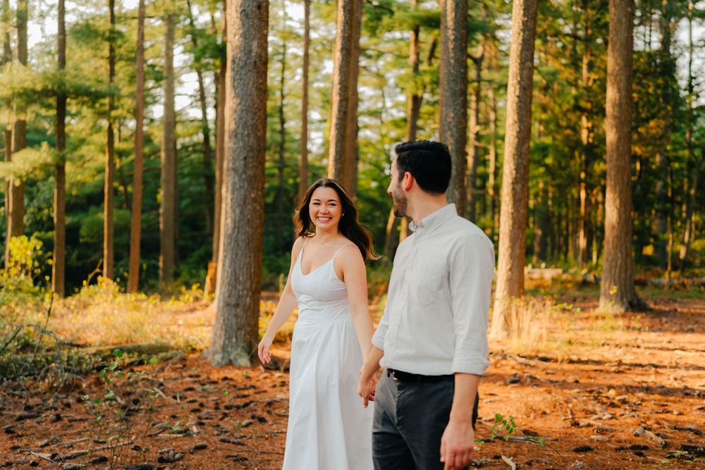 A romantic couple in wedding attire stands together in a sunlit pine forest during golden hour.