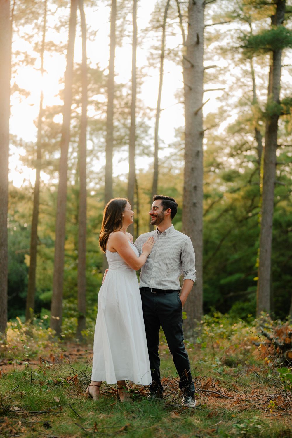 A couple in romantic forest engagement photo at sunset with soft golden light filtering through tall pine trees.