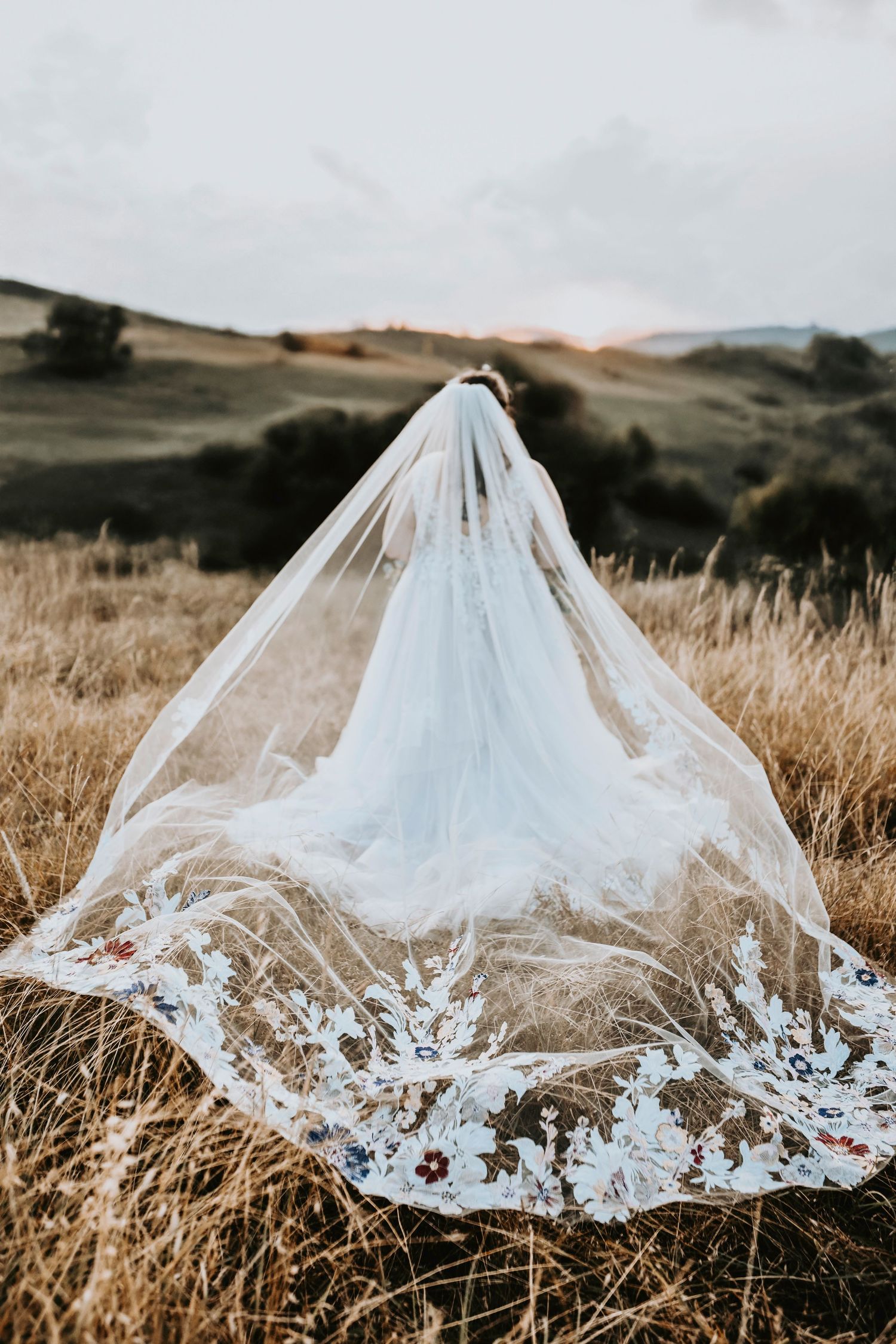 Editorial bridal photo of blonde bride in field with cathedral veil and embroidered details.
