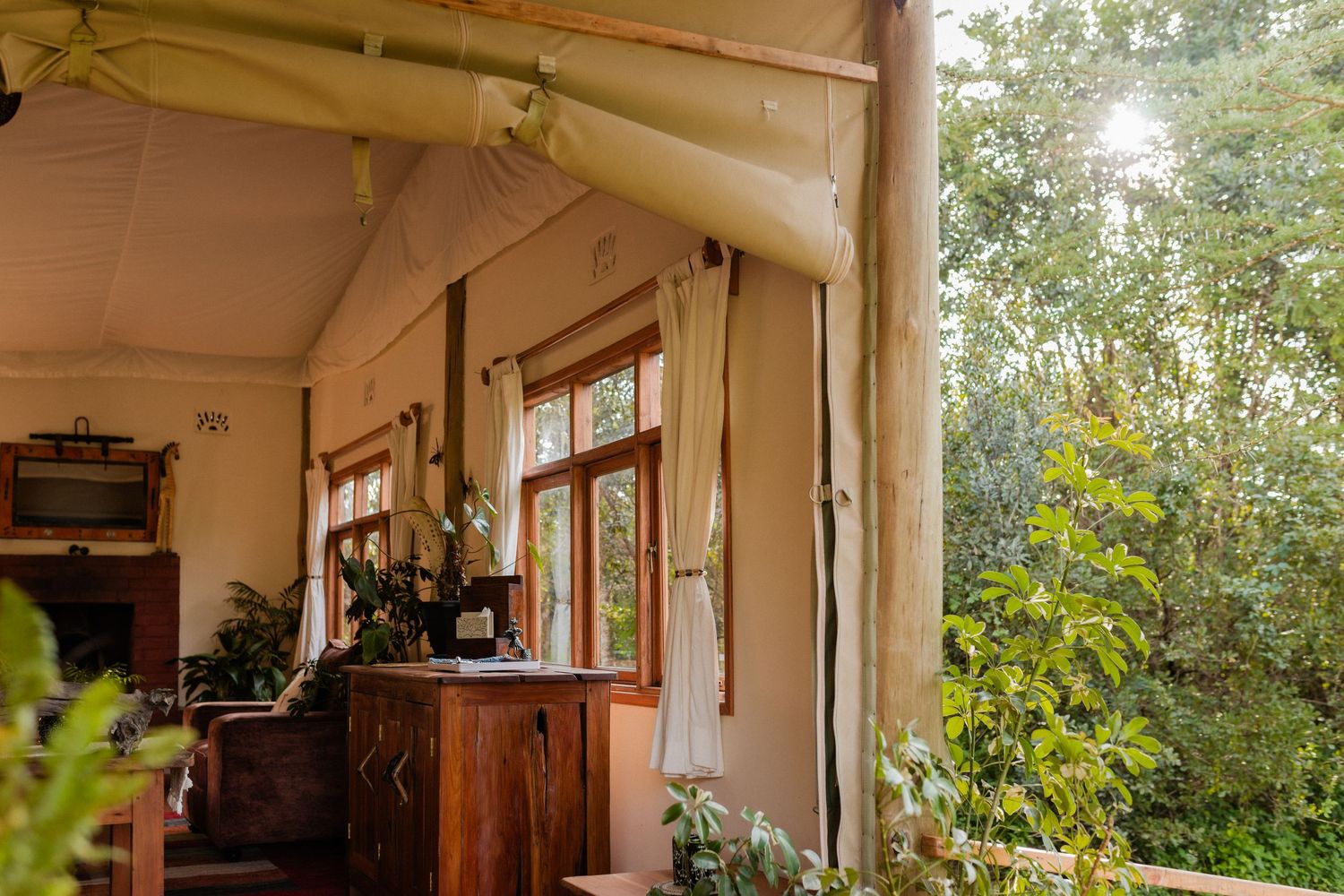 Rustic glamping tent interior with wooden furniture, canvas walls, and lush green trees visible through large windows.