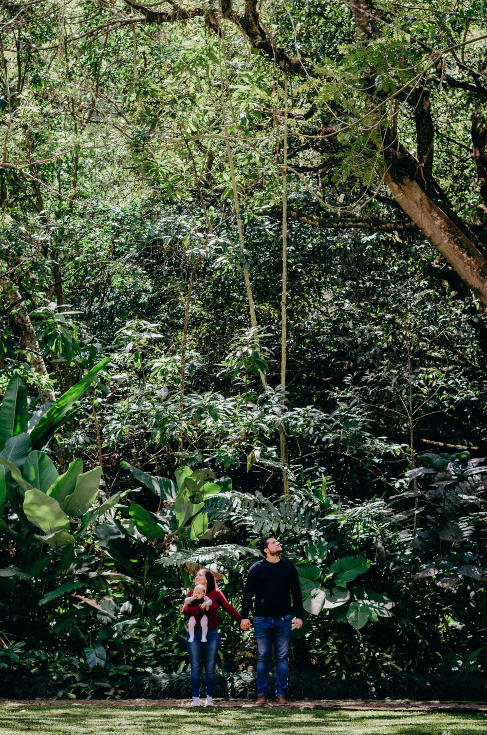 Wide shot of couple standing together among tall trees in a tropical garden setting.