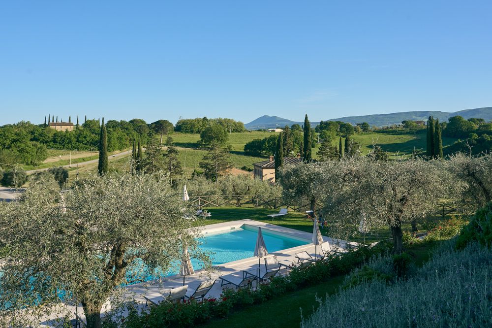 Aerial view of a luxury Tuscan villa pool surrounded by olive trees and cypress trees with rolling hills backdrop.