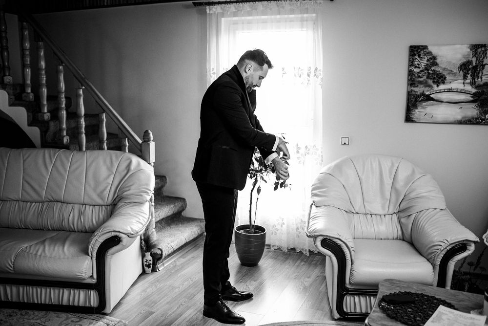 Black and white photo of man in suit tending to indoor plant in elegant living room before wedding.