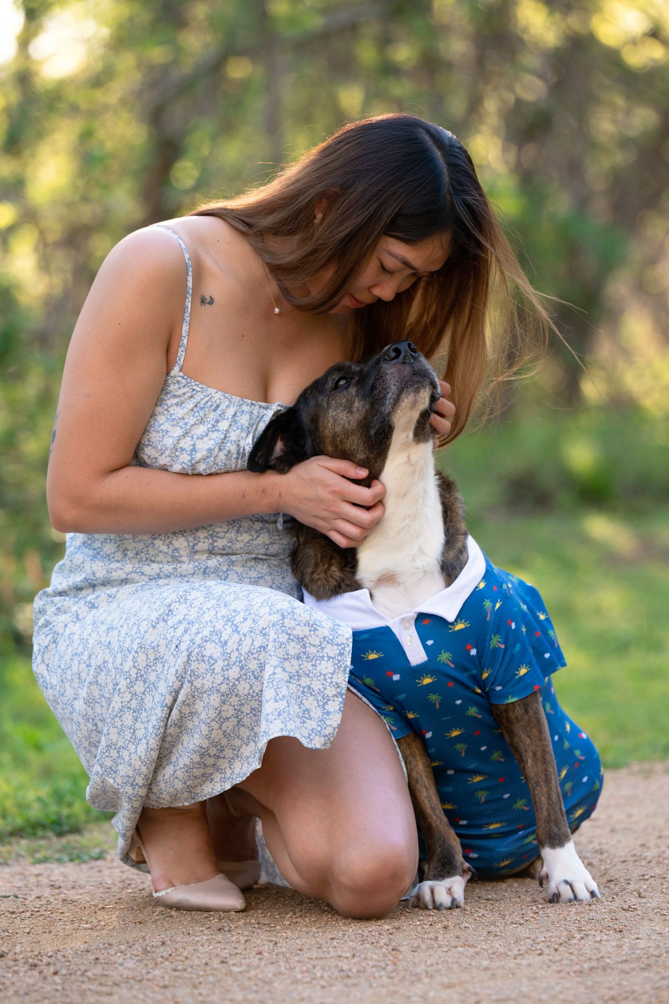 Dog looking up at owner during outdoor pet photography session near Houston, TX.