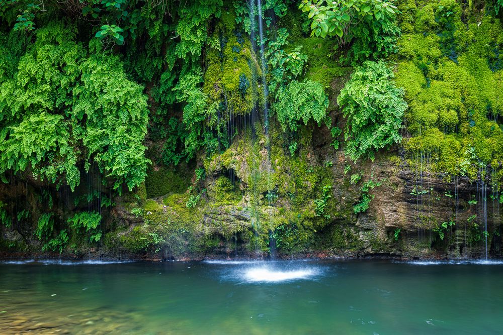 A delicate waterfall cascades down a moss-covered rock face into a tranquil green pool below.