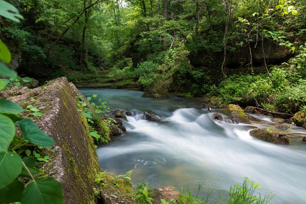A rushing blue river flows through a lush green forest with moss-covered rocks in a serene woodland setting. Greer Springs