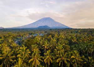 Aerial view of a volcanic mountain rising above a lush tropical palm tree forest under a cloudy sky.