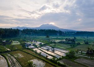 Aerial view of lush green rice terraces reflecting sky at sunset with a misty volcanic mountain backdrop in Bali, Indonesia.