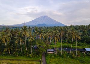Aerial view of a volcanic mountain rising above lush tropical palm trees and village rooftops in Bali, Indonesia.