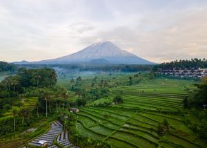 Aerial view of lush green rice terraces with a majestic volcano and misty tropical forest in Bali, Indonesia.