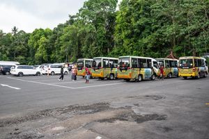 Colorful mini buses parked in a lot surrounded by lush tropical trees with passengers boarding nearby.