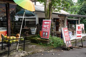 Outdoor market area with red WC toilet directional signs, a fruit stand with coconuts, and tropical trees in background.