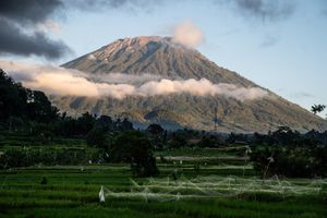 Lush green rice terraces with a majestic volcanic mountain rising above clouds at sunset in Bali, Indonesia.